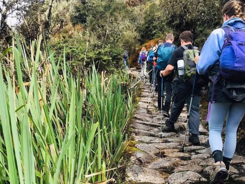 inca trail way